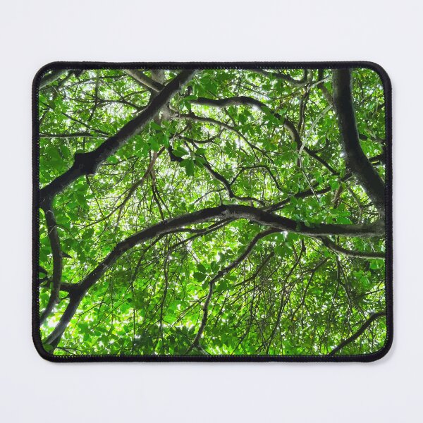 Item preview, Mount Coot-tha Botanic Gardens designed and sold by OCNau.