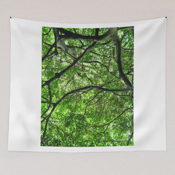 Item preview, Mount Coot-tha Botanic Gardens designed and sold by OCNau.