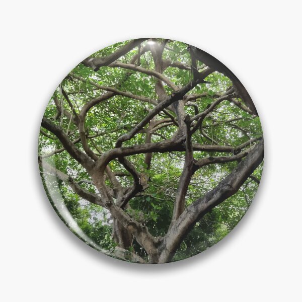 Item preview, Mount Coot-tha Botanic Gardens designed and sold by OCNau.