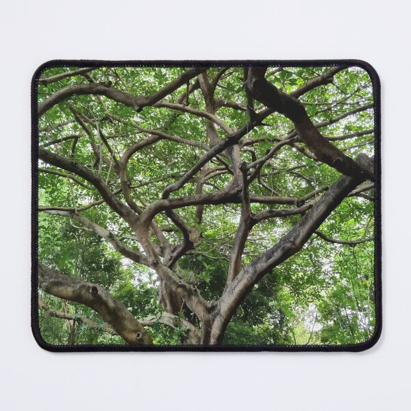 Item preview, Mount Coot-tha Botanic Gardens designed and sold by OCNau.