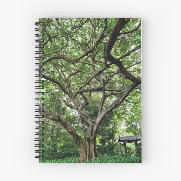 Item preview, Mount Coot-tha Botanic Gardens designed and sold by OCNau.