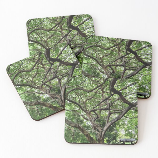 Item preview, Mount Coot-tha Botanic Gardens designed and sold by OCNau.