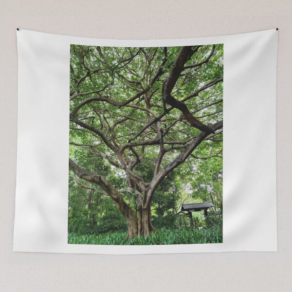 Item preview, Mount Coot-tha Botanic Gardens designed and sold by OCNau.