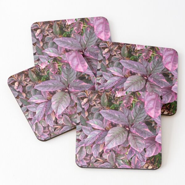 Item preview, Mount Coot-tha Botanic Gardens designed and sold by OCNau.