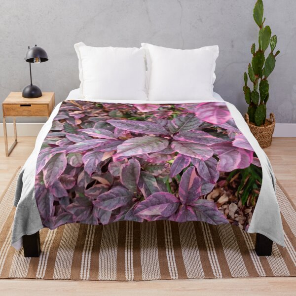 Item preview, Mount Coot-tha Botanic Gardens designed and sold by OCNau.