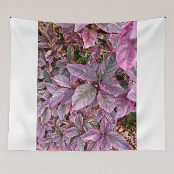 Item preview, Mount Coot-tha Botanic Gardens designed and sold by OCNau.
