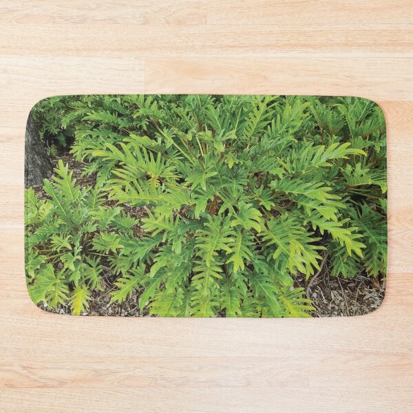 Item preview, Mount Coot-tha Botanic Gardens designed and sold by OCNau.