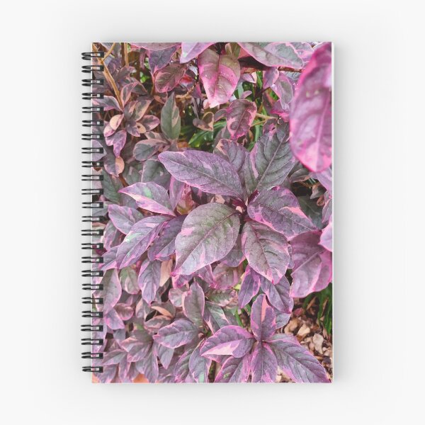 Item preview, Mount Coot-tha Botanic Gardens designed and sold by OCNau.