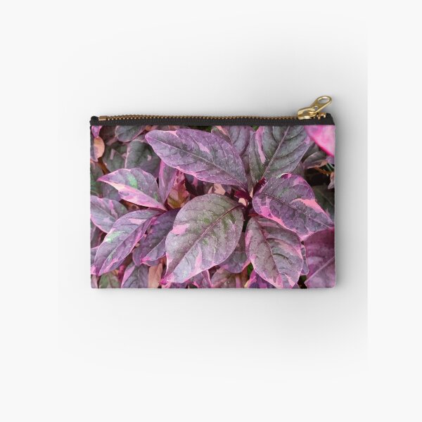 Item preview, Mount Coot-tha Botanic Gardens designed and sold by OCNau.