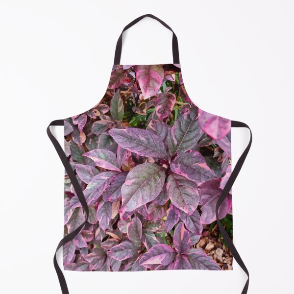 Item preview, Mount Coot-tha Botanic Gardens designed and sold by OCNau.