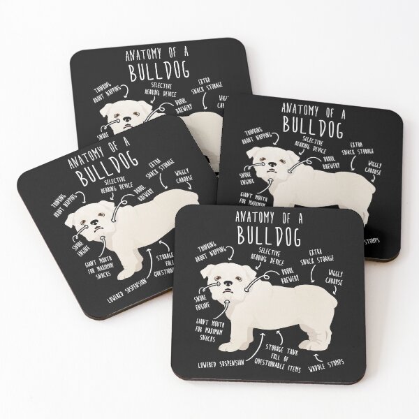 Item preview, English Bulldog White Dog Anatomy designed and sold by Clara Hollins.
