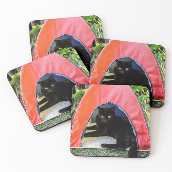 Item preview, Is That a Lizard Over There? designed and sold by heatherfriedman.
