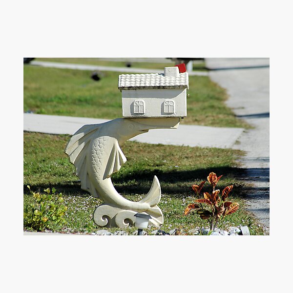 Item preview, Sailfish designed and sold by Donna Wilkins.