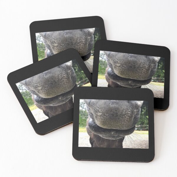 Item preview, How to Listen to a Horse designed and sold by Vern Tonkin.