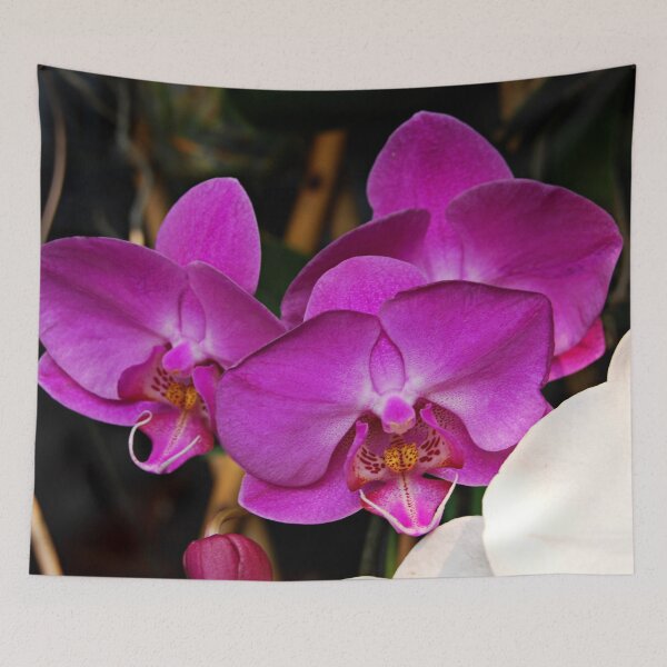 Item preview, The lure of the orchid designed and sold by Kerry LeBoutillier.