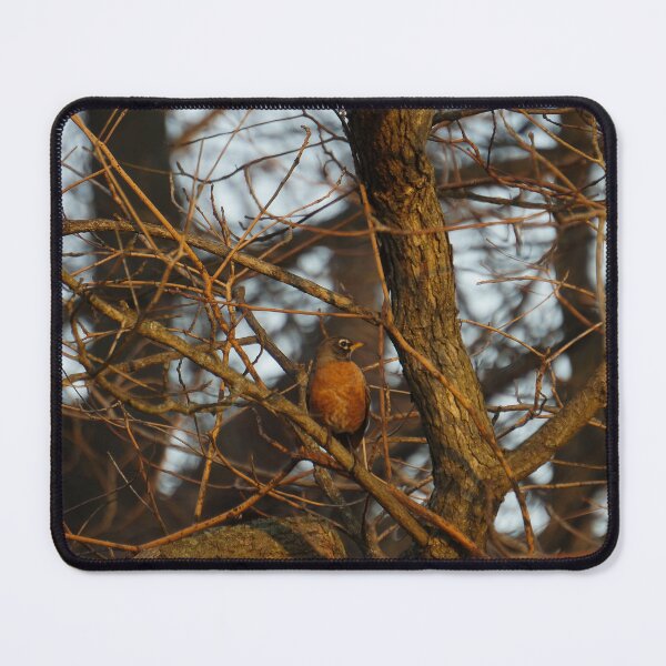 Item preview, Robin in the Morning designed and sold by TheeForestFox Shop.