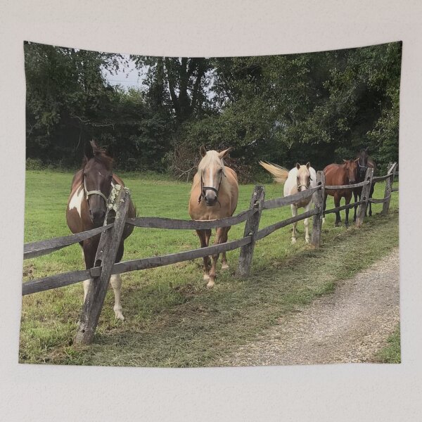 Item preview, Horse Line designed and sold by Redtide.
