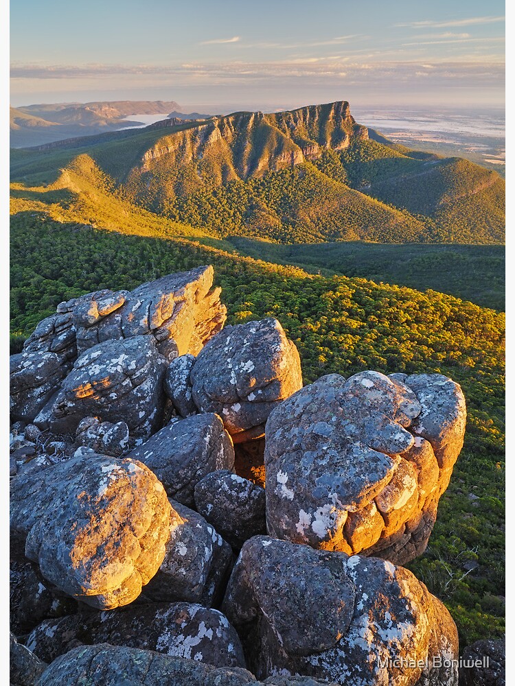 Thumbnail 2 of 2, Art Board Print, Golden Sunrise at Mt William, Grampians, Victoria, Australia designed and sold by Chockstone.