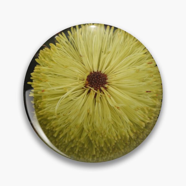 Item preview, Banksia Praemorsa aka Cut Leaf Banksia designed and sold by Linda Sijpkes.