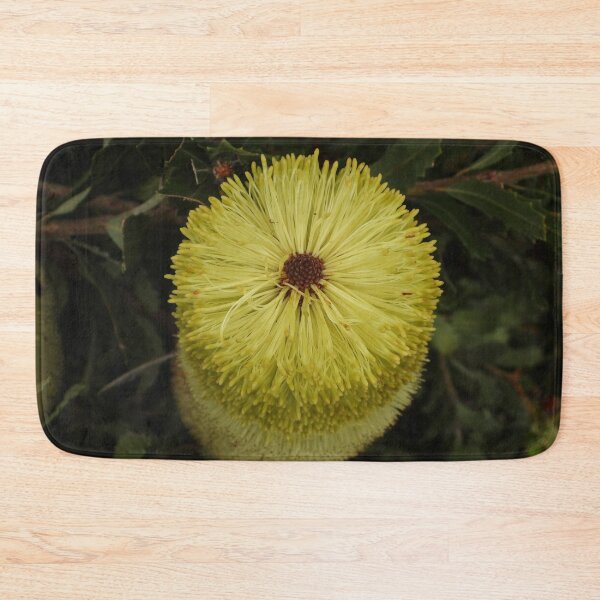 Item preview, Banksia Praemorsa aka Cut Leaf Banksia designed and sold by Linda Sijpkes.