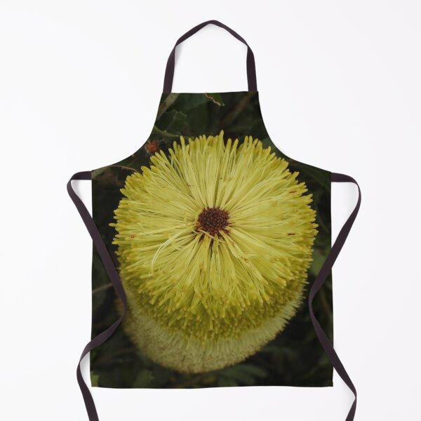 Item preview, Banksia Praemorsa aka Cut Leaf Banksia designed and sold by Linda Sijpkes.