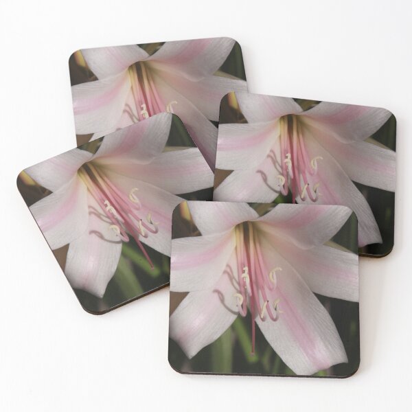 Item preview, Daylily designed and sold by Robert Armendariz.