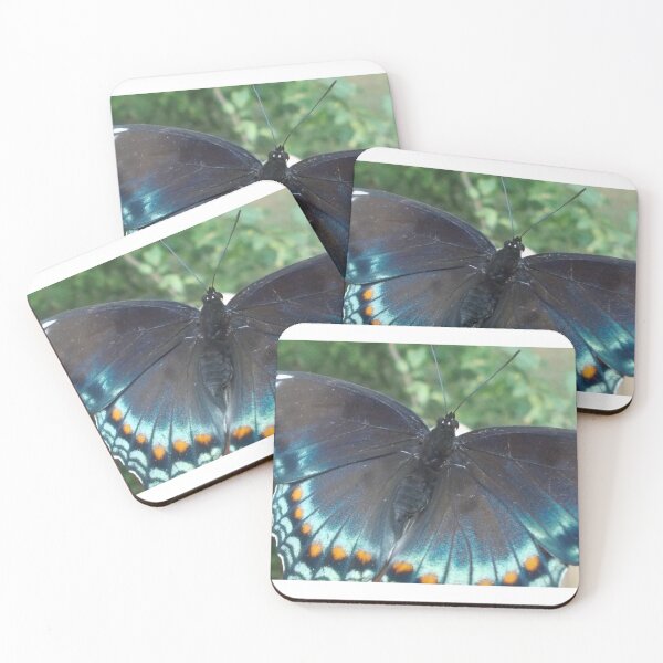 Item preview, Beautful Blue Butterfly - Original Photography designed and sold by JulienneJc.