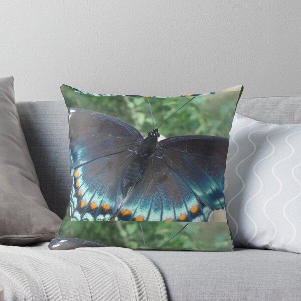 Item preview, Beautful Blue Butterfly - Original Photography designed and sold by JulienneJc.