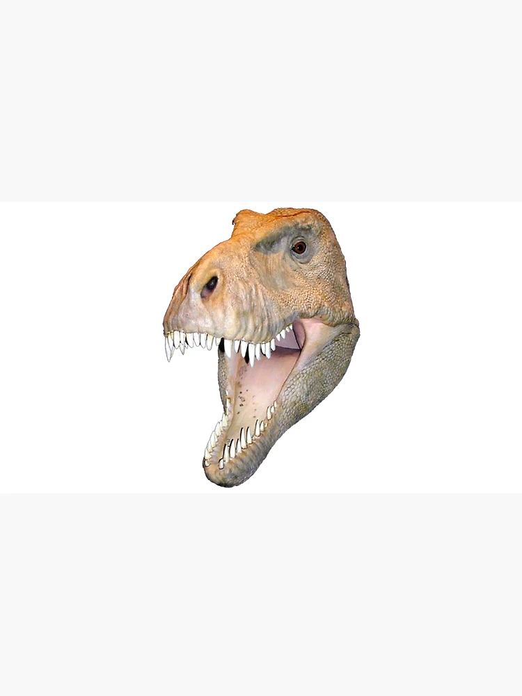 Thumbnail 3 of 3, Cap, Realistic Dinosaur designed and sold by TJDraws.