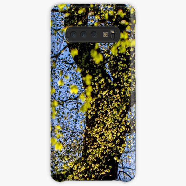 Sunlit Beech Leaves Samsung Galaxy Snap Case