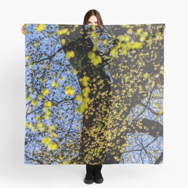 Sunlit Beech Leaves Scarf