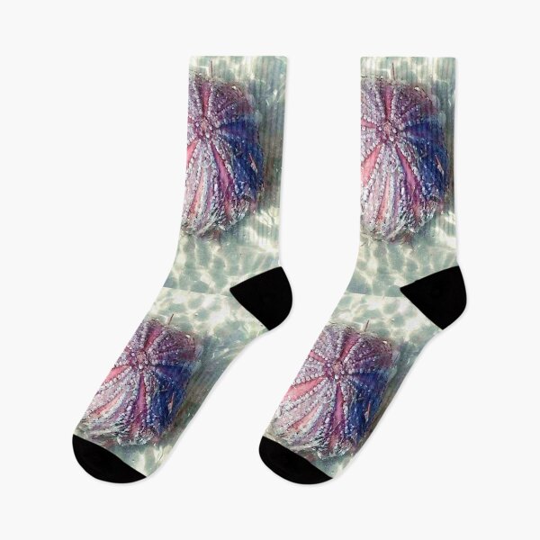 Item preview, Anemone, Indian mound park  , Sarasota , Florida, USA  designed and sold by tuckersemporium.