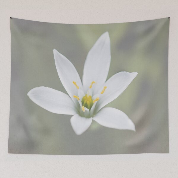 Item preview, Flower Star designed and sold by JohnDSmith.