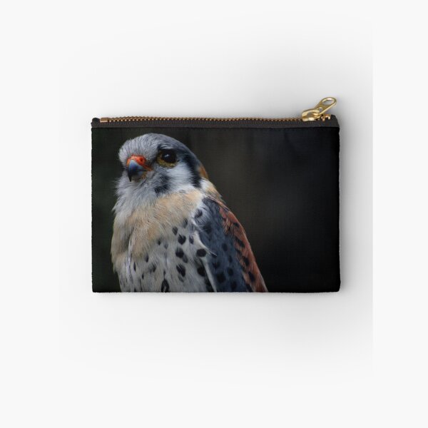 Item preview, American Kestrel designed and sold by James Bull.