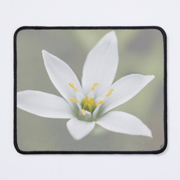 Item preview, Flower Star designed and sold by JohnDSmith.