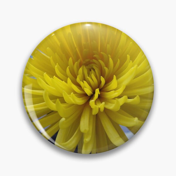 Item preview, Yellow Chrysanthemum  designed and sold by AussieAl.