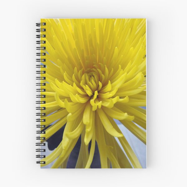 Item preview, Yellow Chrysanthemum  designed and sold by AussieAl.