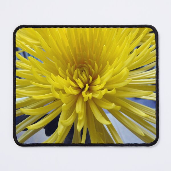 Item preview, Yellow Chrysanthemum designed and sold by AussieAl.