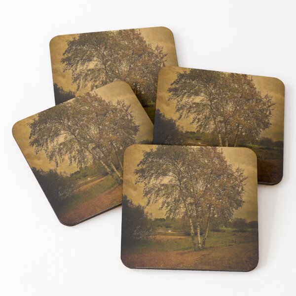 Item preview, A Single Birch Tree designed and sold by rawshutterbug.