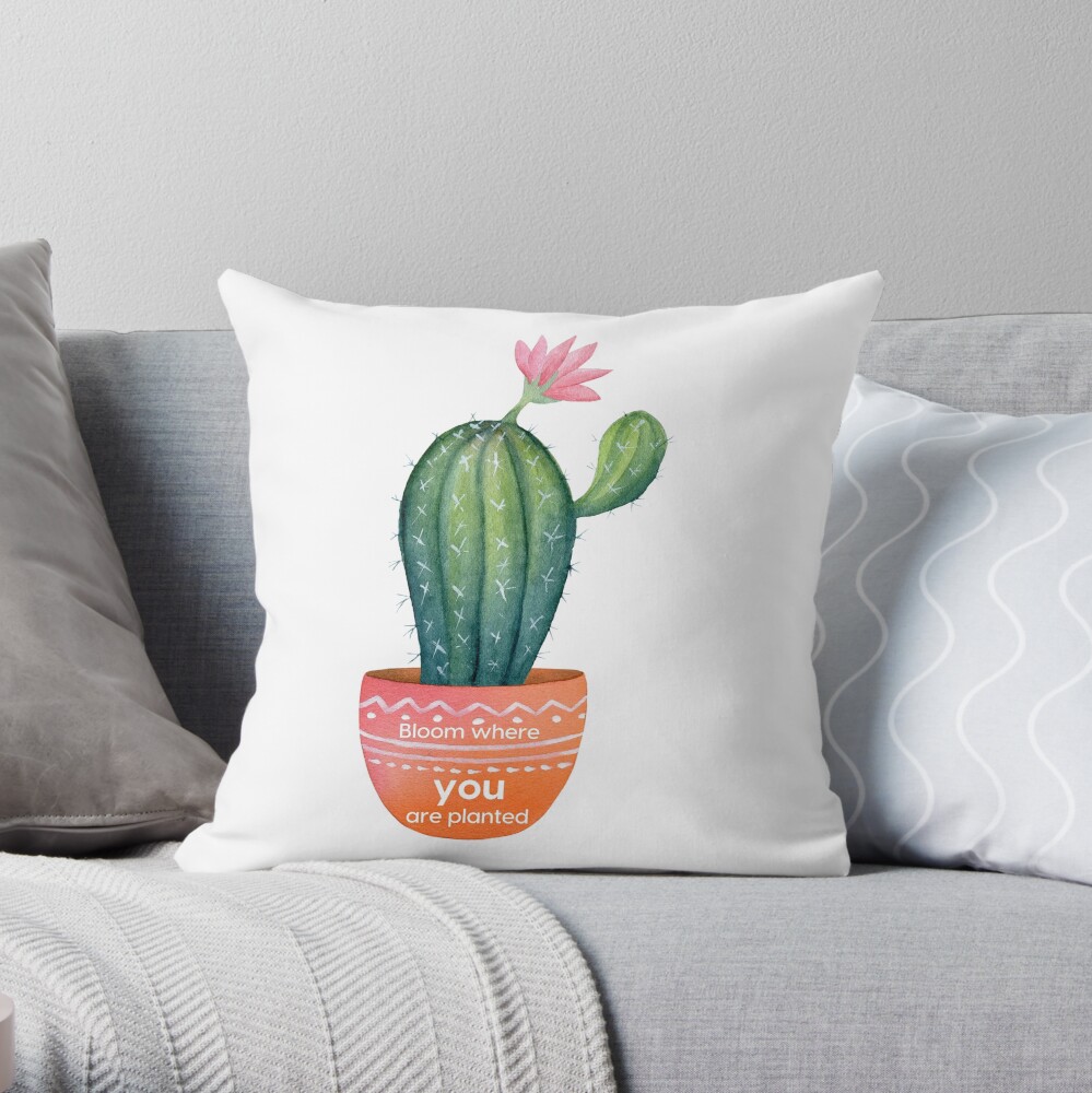 Cute sales cactus pillow