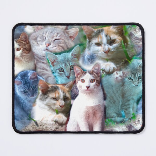 Item preview, Cats designed and sold by Fotogramas.