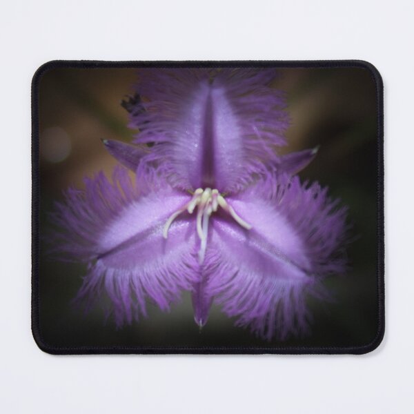 Item preview, Thysanotus tuberosus aka Common Fringe Lily designed and sold by Linda Sijpkes.