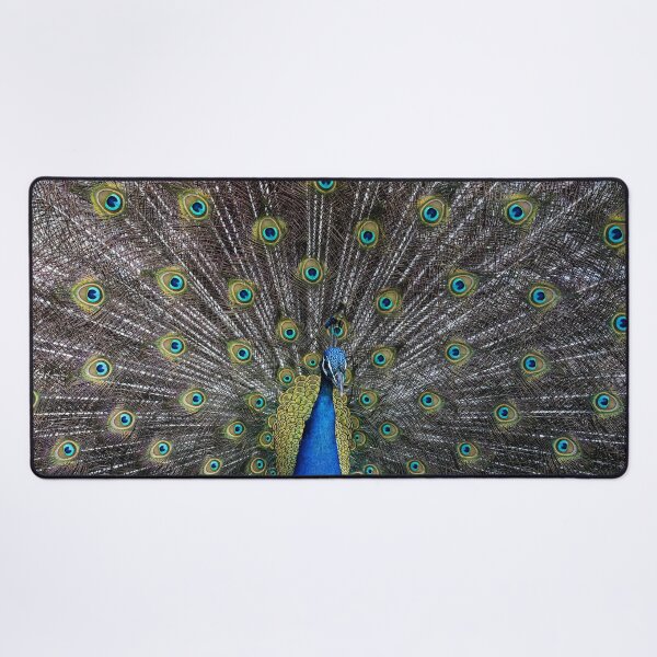 Item preview, The Peacock Spreads Beautiful Back Feathers designed and sold by halleinstyle.
