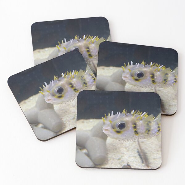 Item preview, Puffer fish designed and sold by Derek Papesch.