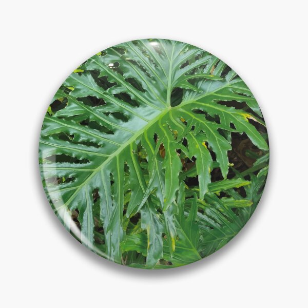 Item preview, Mount Coot-tha Botanic Gardens designed and sold by OCNau.