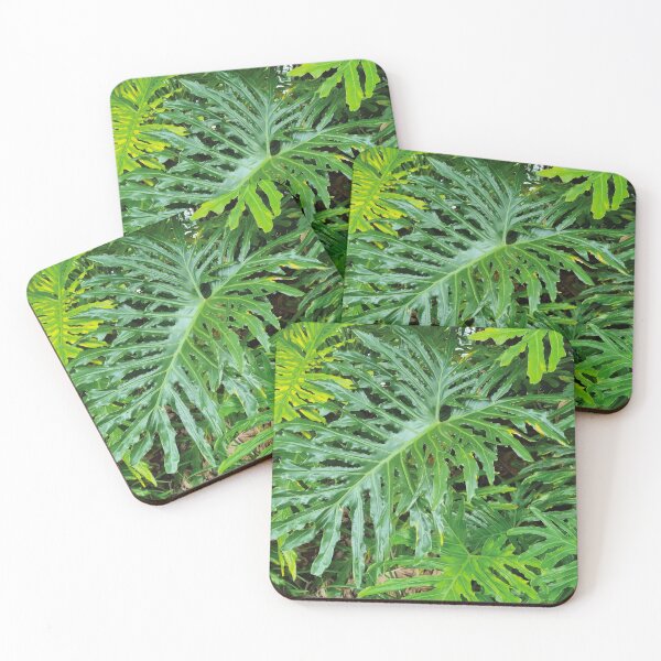 Item preview, Mount Coot-tha Botanic Gardens designed and sold by OCNau.
