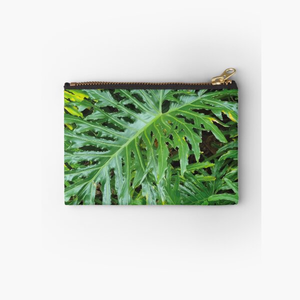 Item preview, Mount Coot-tha Botanic Gardens designed and sold by OCNau.