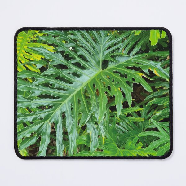 Item preview, Mount Coot-tha Botanic Gardens designed and sold by OCNau.