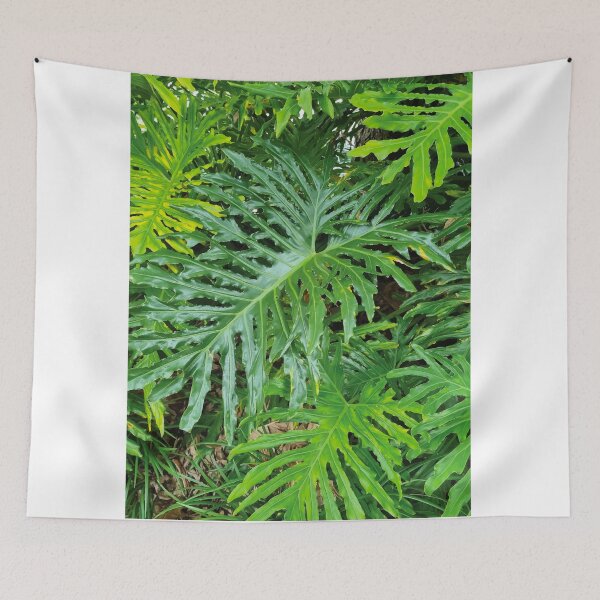 Item preview, Mount Coot-tha Botanic Gardens designed and sold by OCNau.