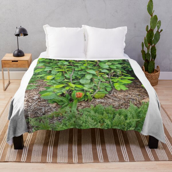 Item preview, Mount Coot-tha Botanic Gardens designed and sold by OCNau.